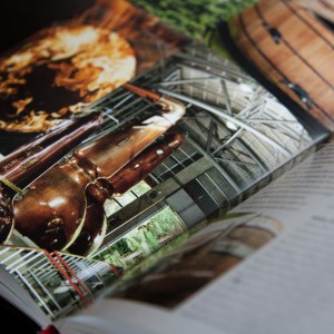 Bunting_Drinking_Japan_004