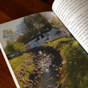 Cameron_The_Myth_The_Mafia_And_The_Magic_002