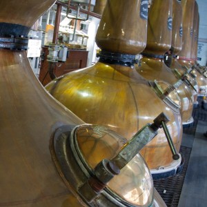 visit-laphroaig-2016-009